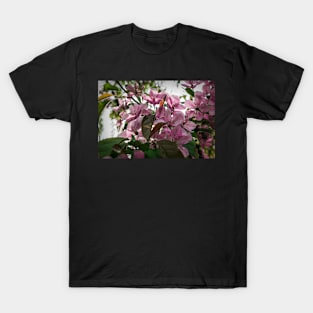 Tree blossoms T-Shirt